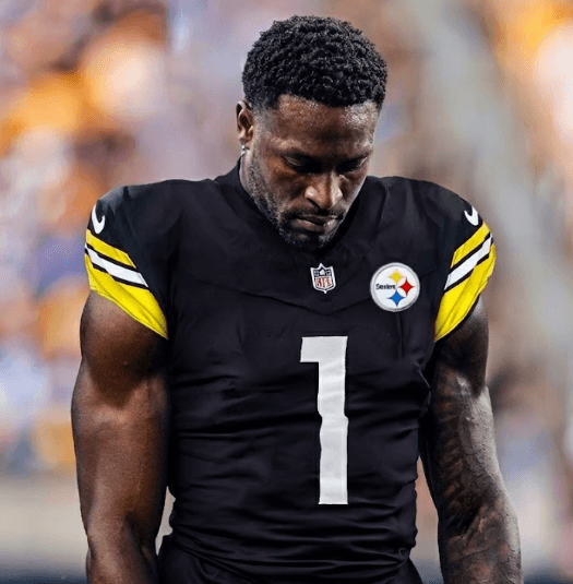 DK Metcalf Apologizes to Steelers Nation After Lions Fan Incident – The Heartbreaking Story of Defending Best Friend T.J. Watt That Earned NFL's Ultimate Respect